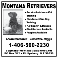 2004 Montana Retrievers
									<br>
									Page 06
									&nbsp;&nbsp;&diams;&nbsp;&nbsp;
									2&frac12;"W x 2&frac12;"H<br>
									Colored Cardstock